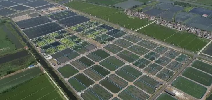 我区4个现代农业项目获批省重点研发计划立项