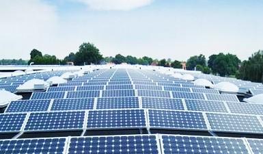 1615876060060018045.jpg 02.jpg