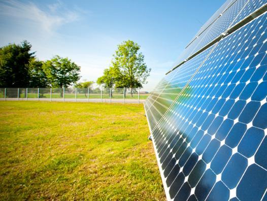 1615876149635098711.jpg 13.jpg