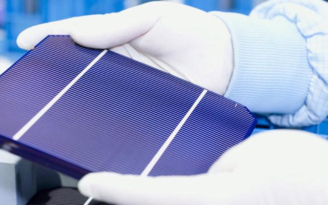 1615876197561051915.jpg 14.jpg