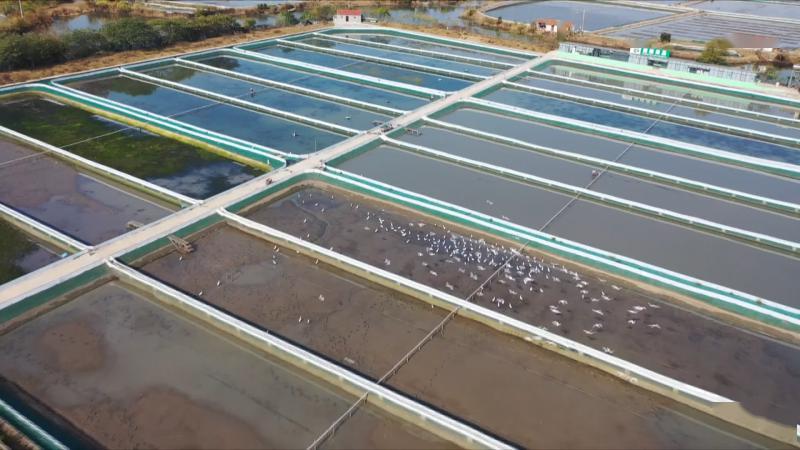 1615978720417068669.jpg 55.jpg