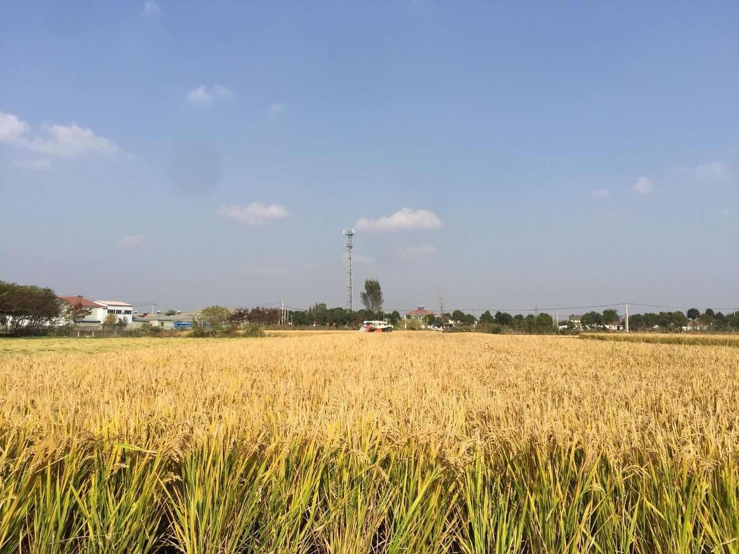 1615979089940005674.jpg 59.jpg