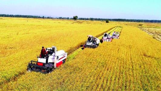 1616049430594065773.jpg 90.jpg