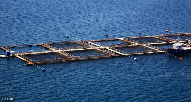 1616049461134005794.jpg 92.jpg