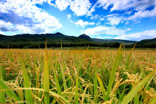 1616049560595079227.jpg 94.jpg