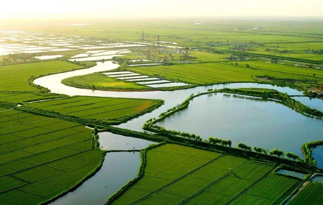 1616049574640081558.jpg 95.jpg