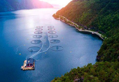 1616050746468054826.jpg 93.jpg