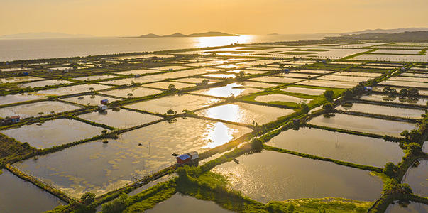 1616389703144033049.jpg 117.jpg