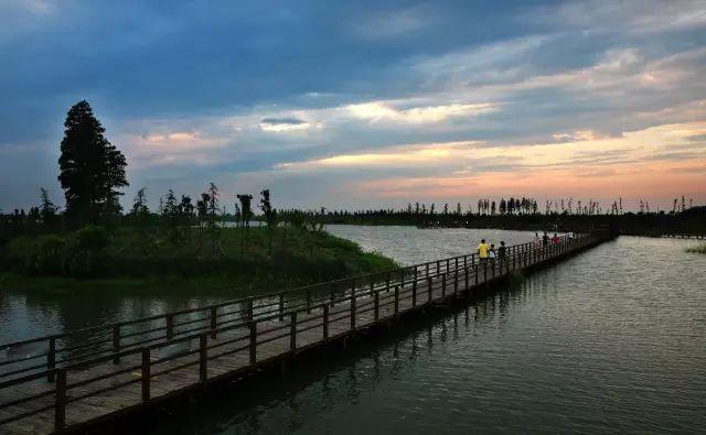 1616397810152062525.jpg 136.jpg